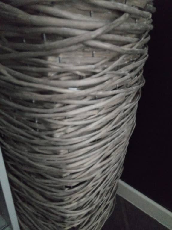 Nokia 3.1 im Test: Testfotos