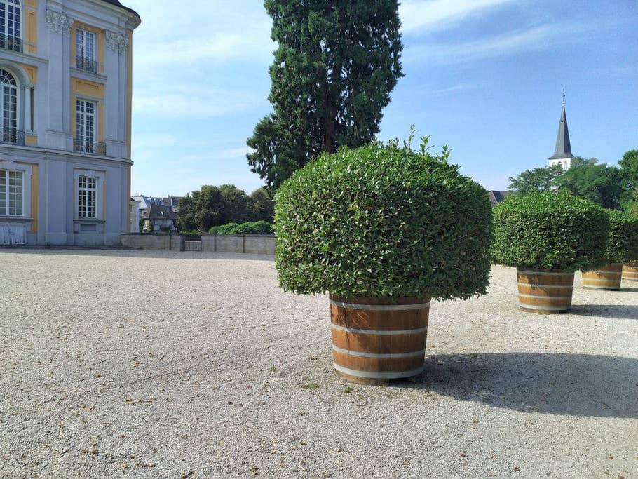 Nubia Z11: Kamerabilder