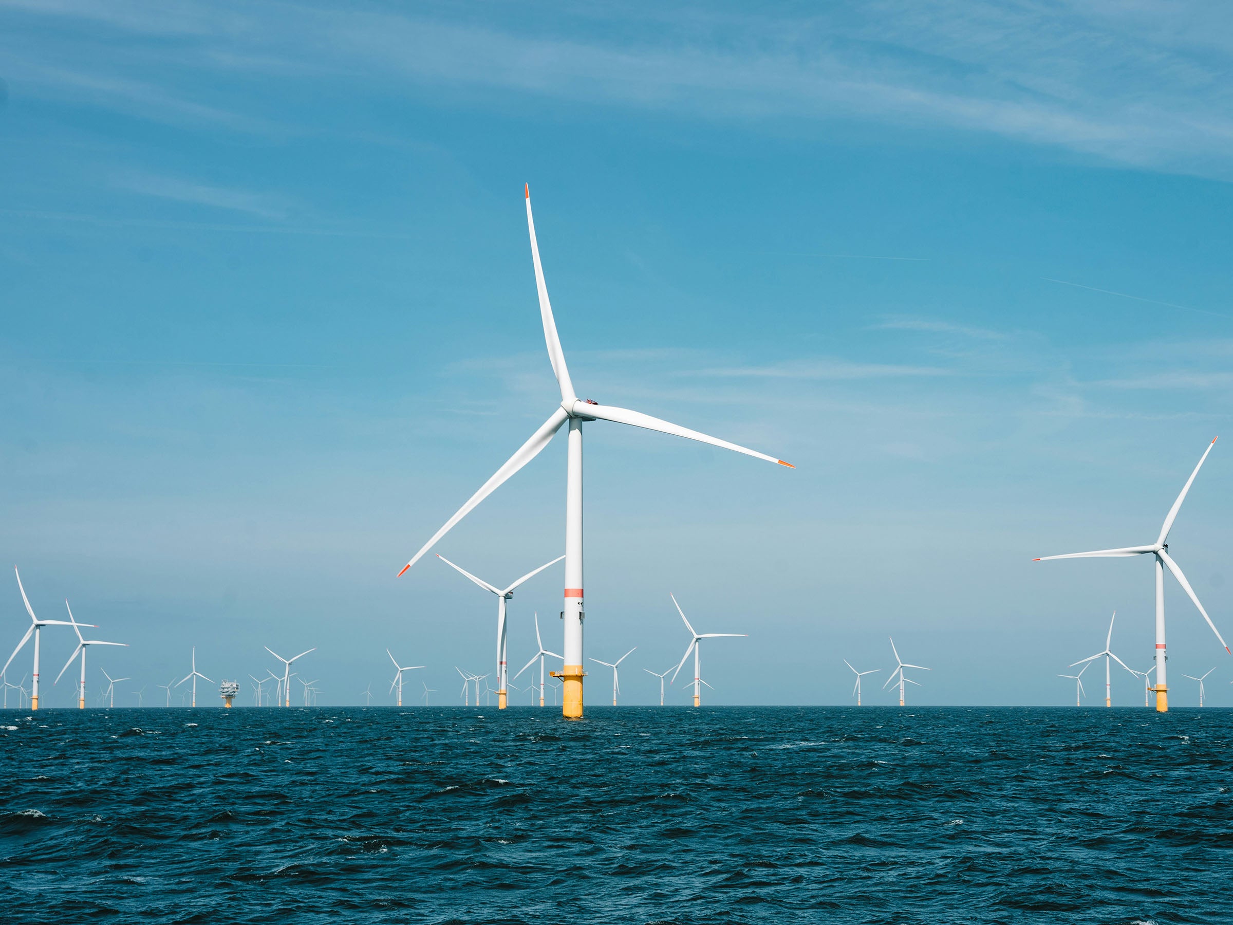 #Offshore-Wind als Retter der Fischbestände?