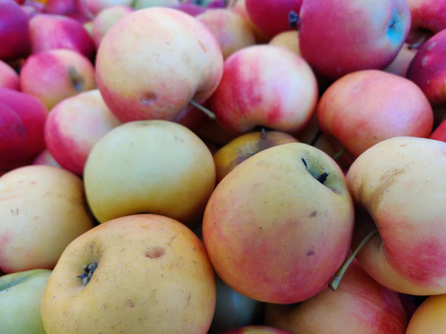 Äpfel in der Nahaufnahmen - Gelb und Rot