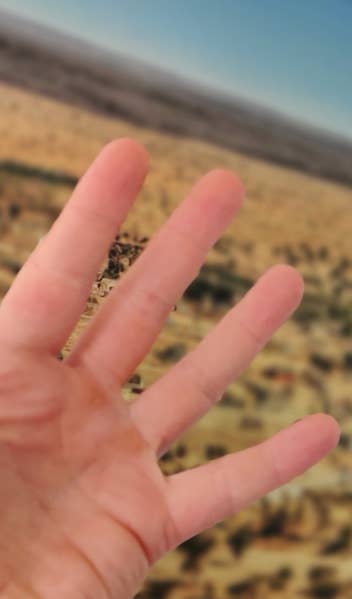 Hand mit unscharfen und scharfen Finger-Zwischenräumen