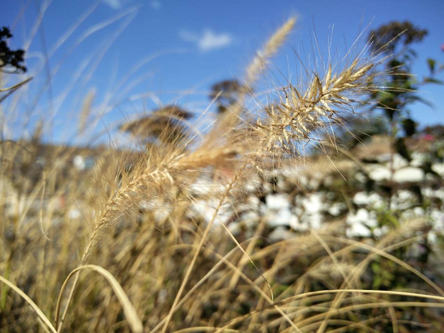 oneplus2 7