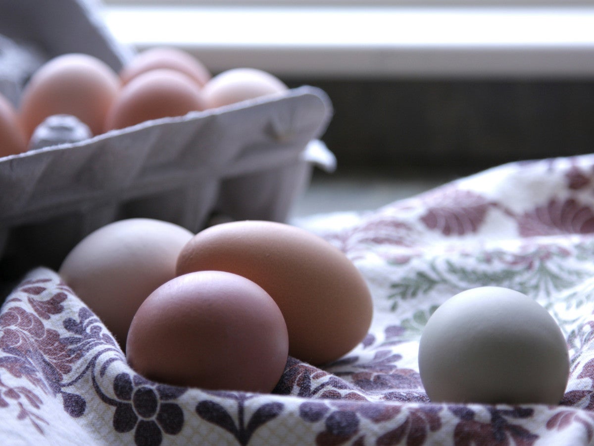 Ostereier richtig kochen: So bekommst du das Ei, das du zum Frühstück willst