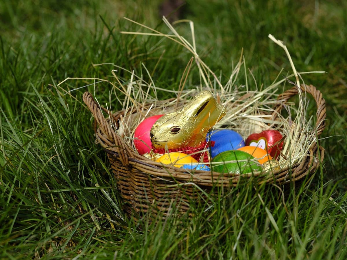 Ein gefülltest Osternest im Gras.