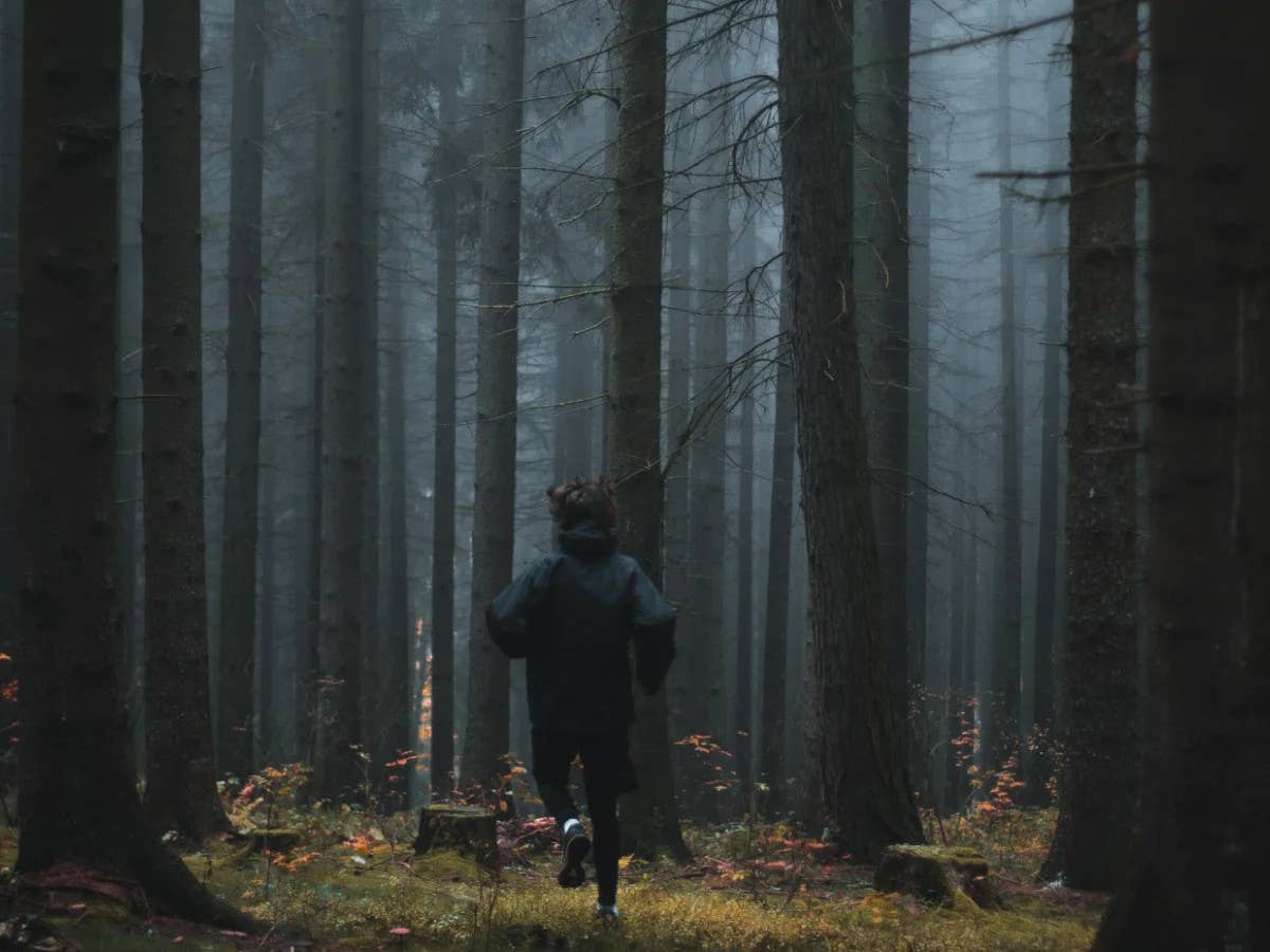 Eine Person rennt in einen nebligen Wald.