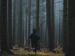 Eine Person rennt in einen nebligen Wald, so wie in Stephen Kings Horrorgeschichten.