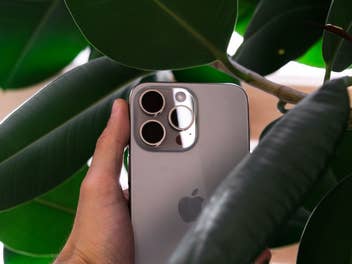 iPhone 16 das in der Hand zwischen einer Pflanze gehalten wird