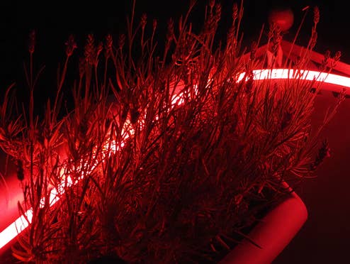 Der Philips Hue Lightstrip Outdoor