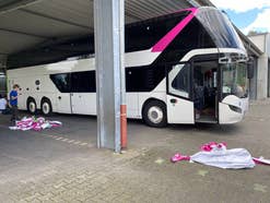 Pinkbus neues Design