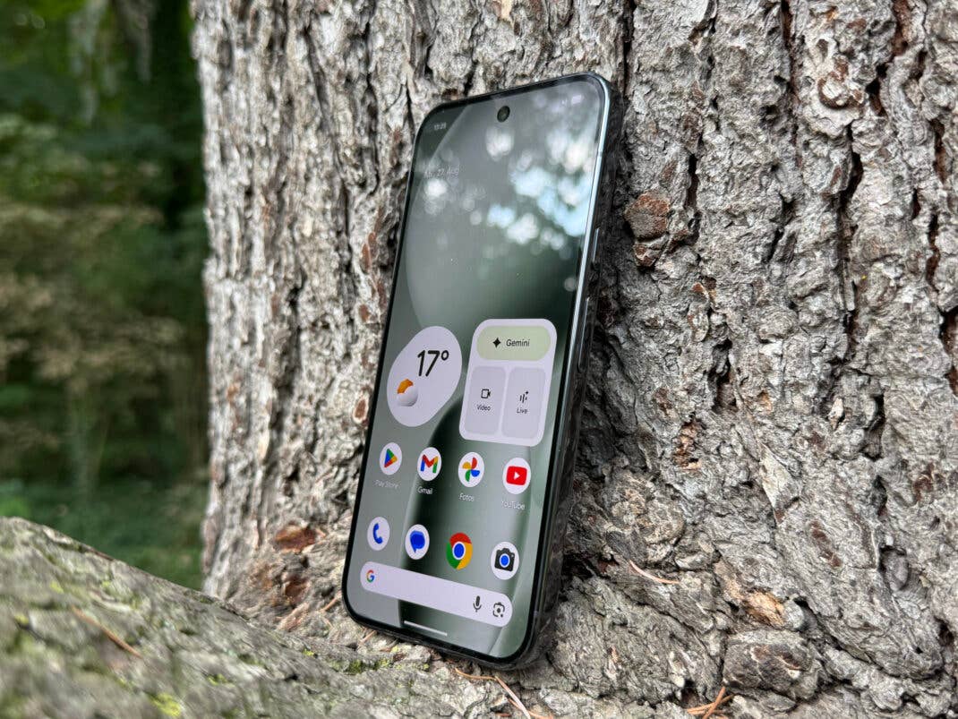 Pixel 10 Pro Display