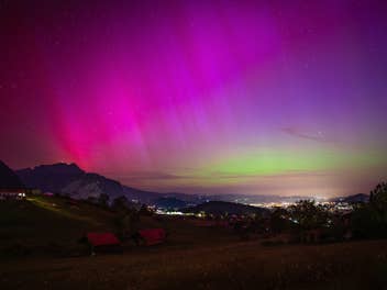 Polarlichter fotografieren mit dem Handy: So gelingt das perfekte Bild