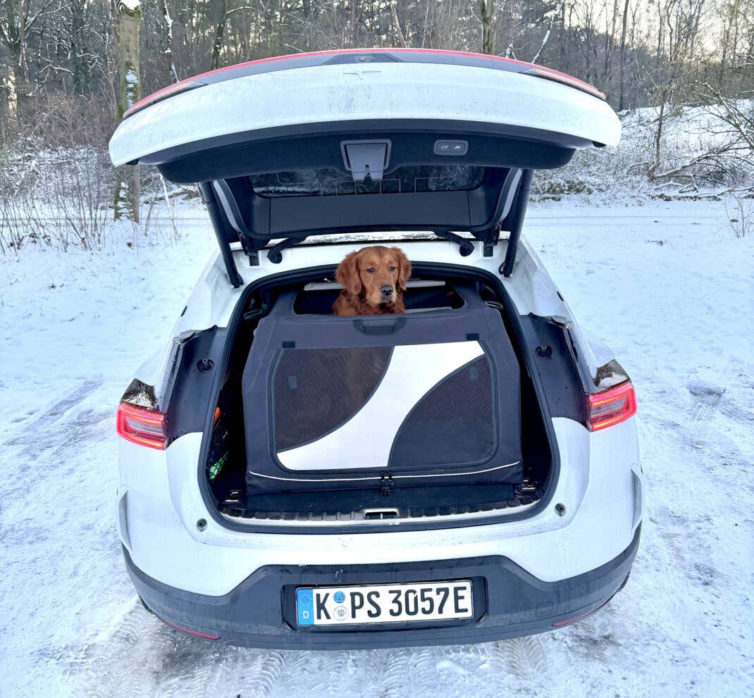 Ein Hund im Kofferraum des Polestar 3.