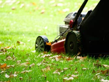 Rasenmähen nach dem Winter