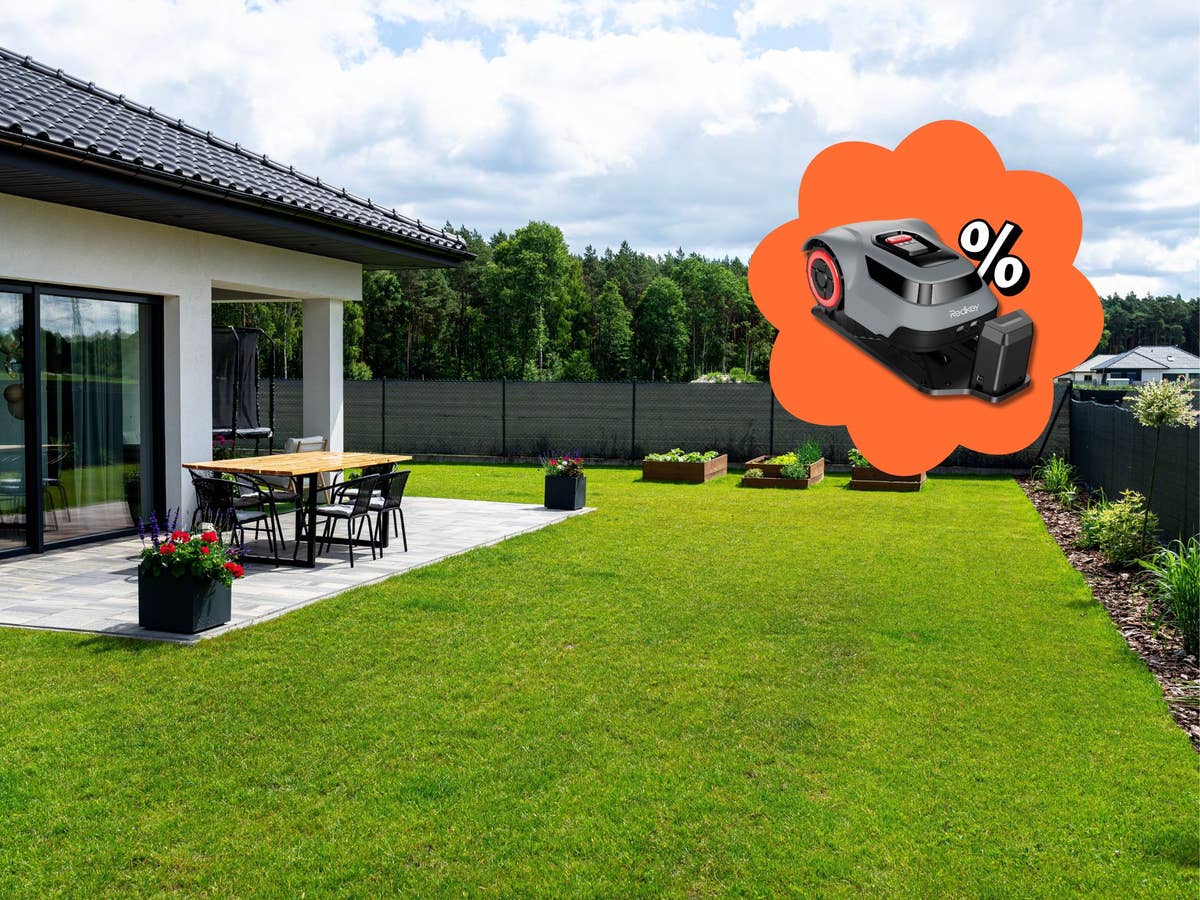 Rasenmäher-Roboter kurzzeitig für deutlich unter 500 Euro Jetzt Amazon Frühlingsangebot sichern!
