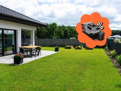 Rasenmäher-Roboter kurzzeitig für deutlich unter 500 Euro Jetzt Amazon Frühlingsangebot sichern!