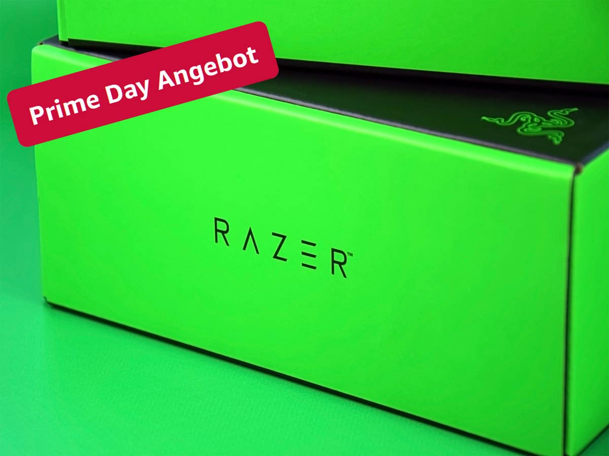 Razer Karton mit 