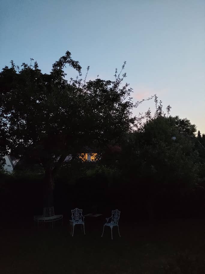 Baumsilhouetten im Dunkeln vor einem Abendhimmel.