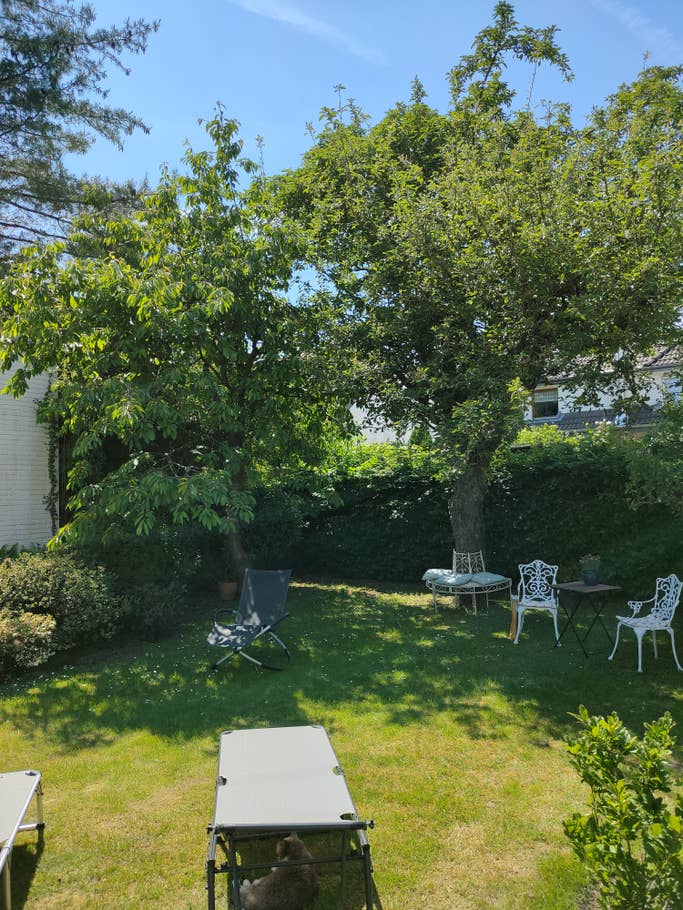 Ein Garten mit Sonnenliegen, einem Sitzplatz und Bäumen.