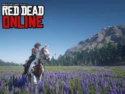 Ein Pferd läuft durch eine Blumenwiese in Red Dead Online.
