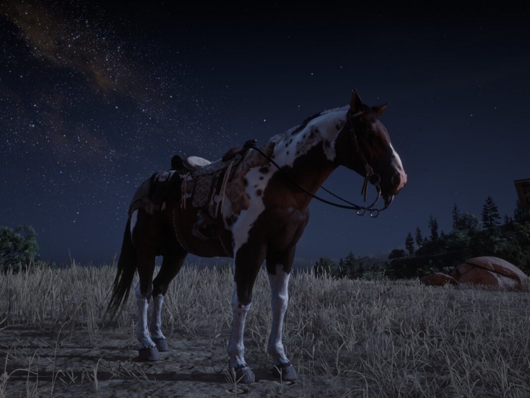 Eines der besten Pferde in Red Dead Online.