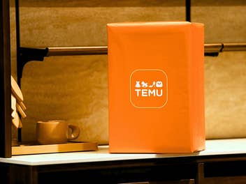 Illegale Beilage im Paket: Die Regenschirm-Falle von Temu