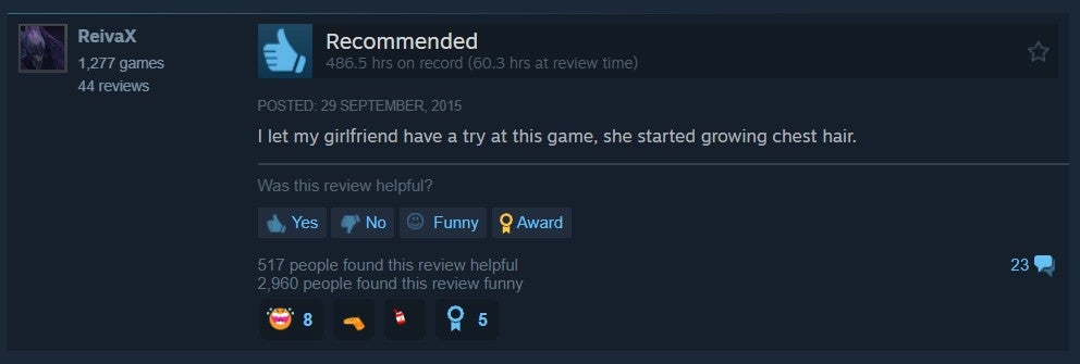Video game review screenshot steam