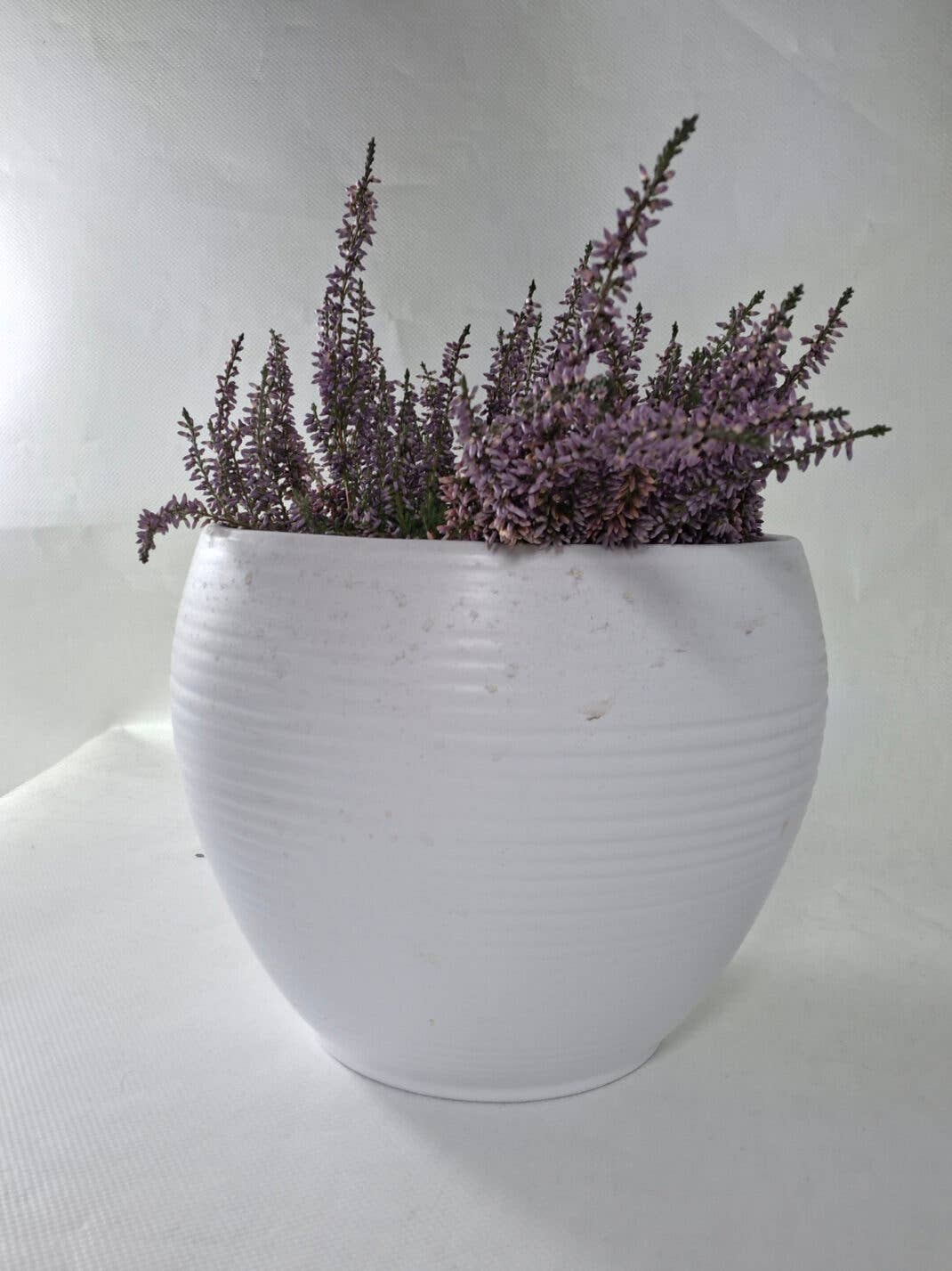 Samsung Galaxy A56: Frontkamera