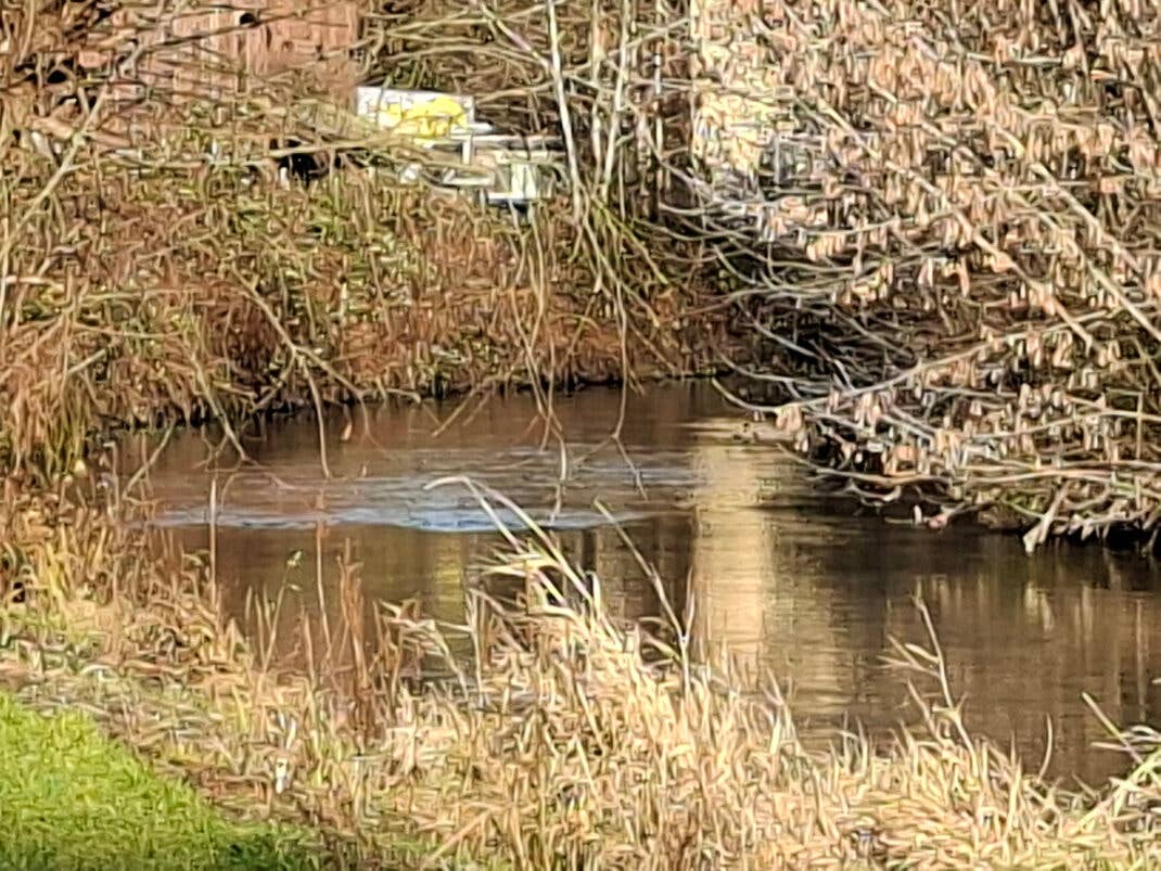 Samsung Galaxy A56: Hauptkamera