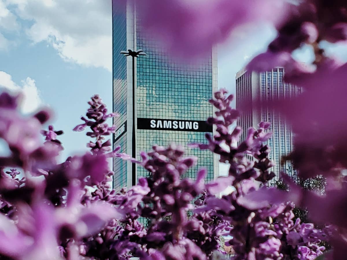 Samsung building behind flowers