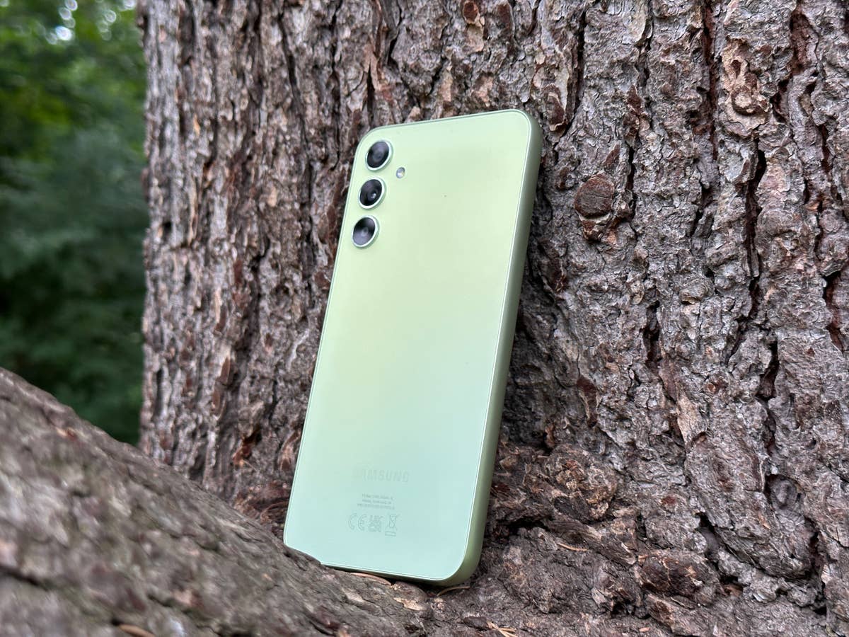 Galaxy A34 im Test: Das Handy steht an einem Baum