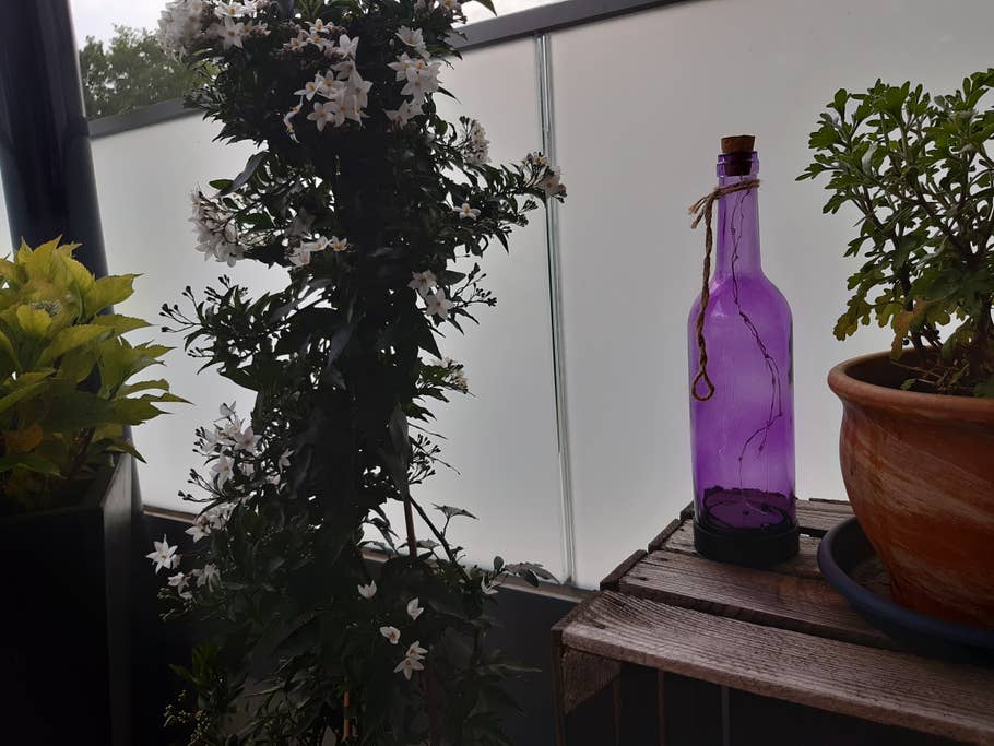 Eine Flasche auf einem Balkon mit Pflanzen