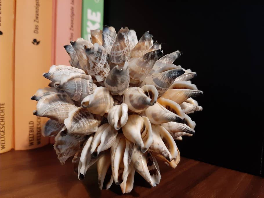 Detailaufnahme im Innenraum bei Kunstlicht. Foto eines Balls aus Muscheln im Innenraum.
