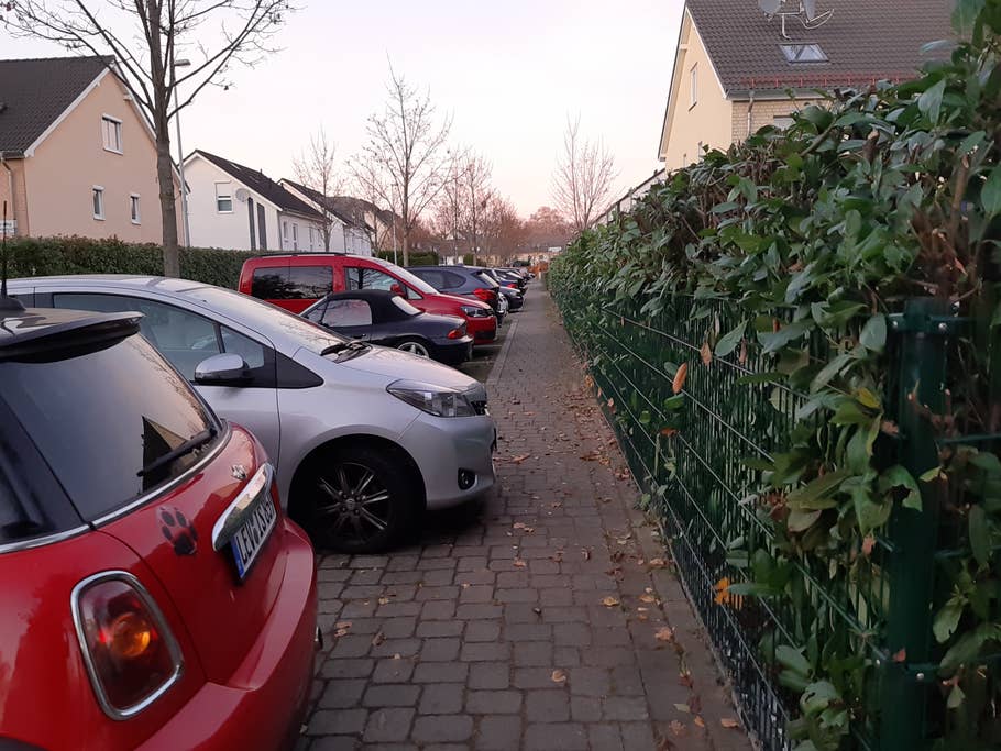 Autos, die an einer Hecke parken bei Sonnenuntergang