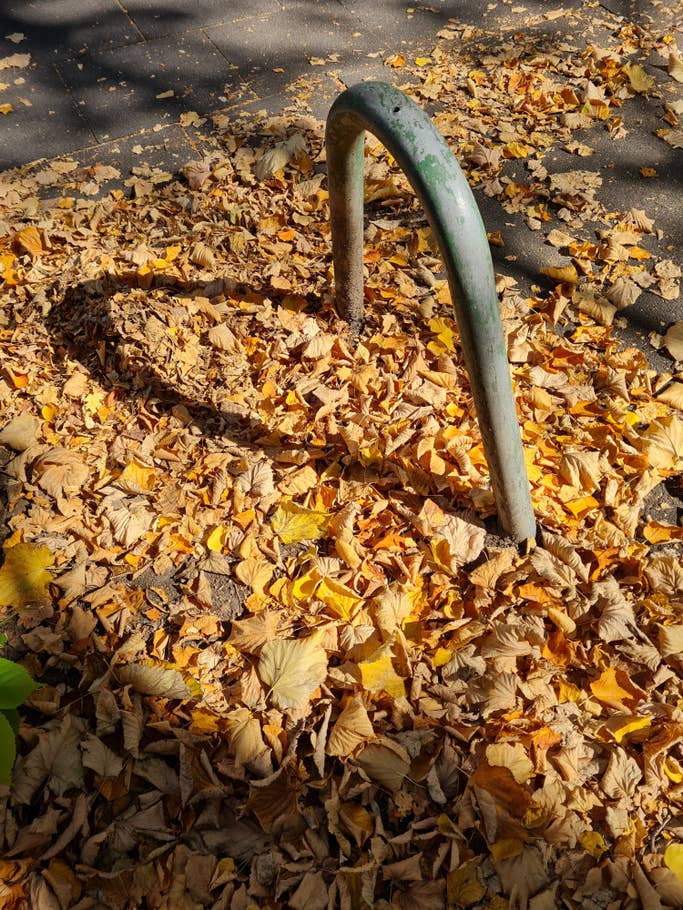 Samsung Galaxy Note 20 Licht und Schatten