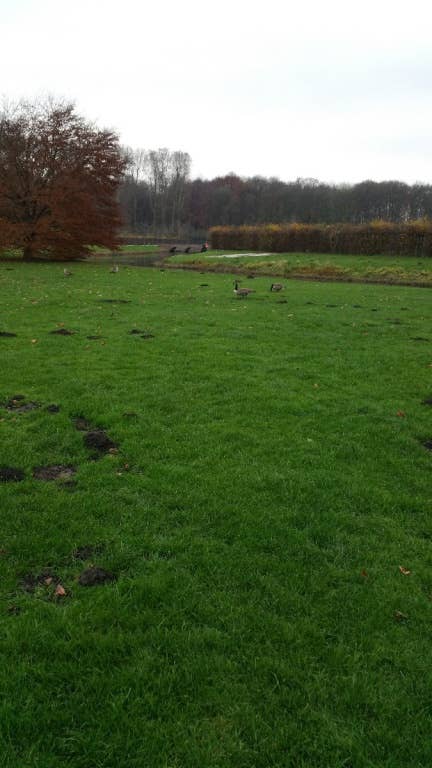 Samsung Galaxy Note Edge Kameratest