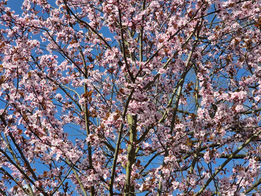 Samsung Galaxy S26 Testfoto