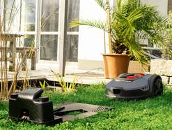 SCHEPPACH Mähroboter RoboCut RLM500 bei Aldi kaufen SCHEPPACH Mähroboter RoboCut RLM500 steht auf einem Rasen vor seiner Ladestation.