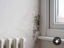 Dieses Thermostat sagt dir, wenn Schimmelbefall droht Dieses Thermostat sagt dir, wenn Schimmelbefall droht