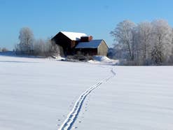 Der packende Thriller 