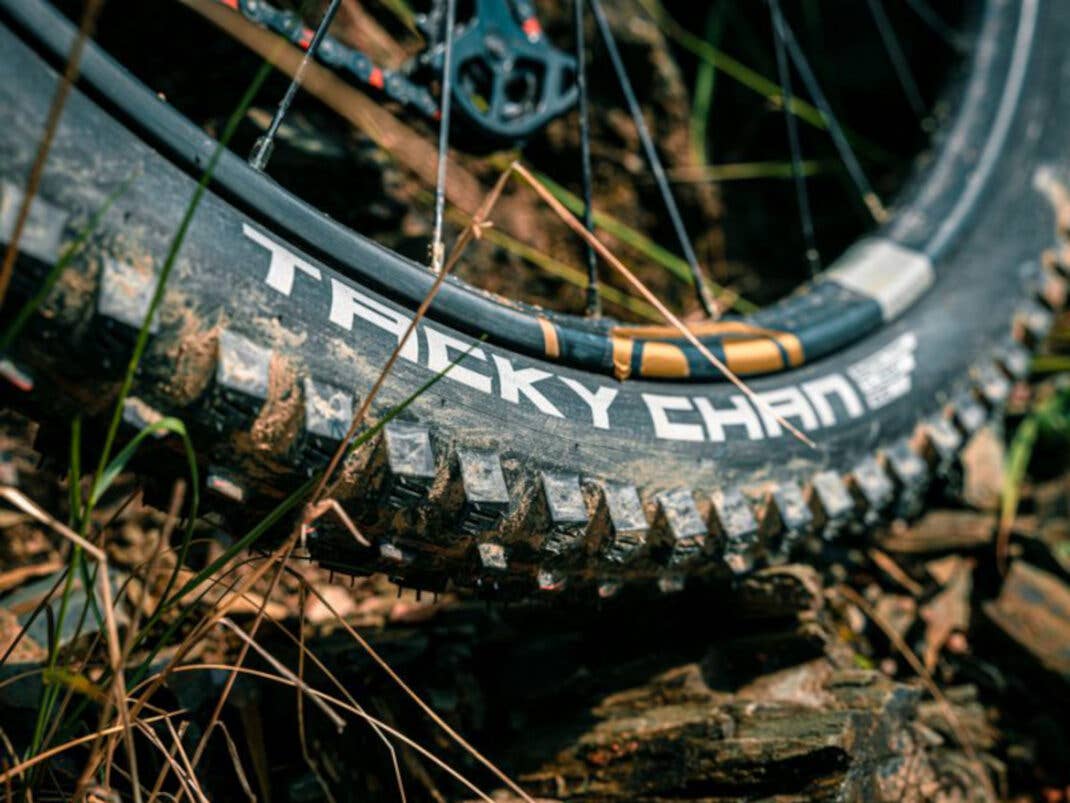 Das sind die Tacky Chan Mountainbike Reifen von Schwalbe.
