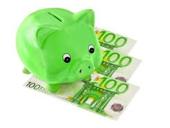Grünes Sparschwein steht auf 100-Euro-Geldscheinen.