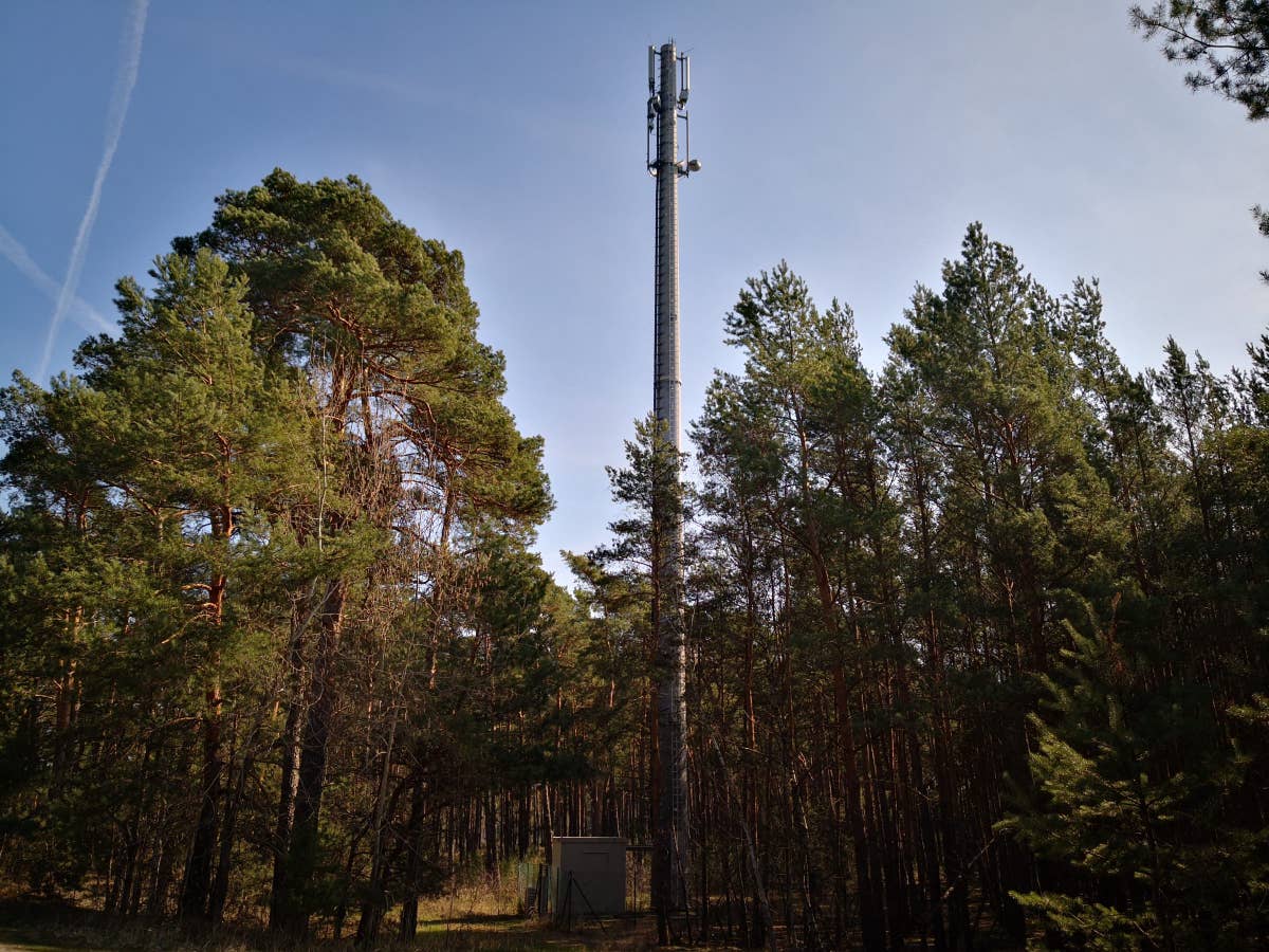 Ein Sendemast in einem Waldgebiet