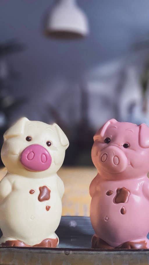 Zwei Schokoladen-Glückschweinchen nebeneinander