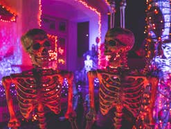 Zwei Skelette auf einer Party zu Halloween mit bunter Beleuchtung.