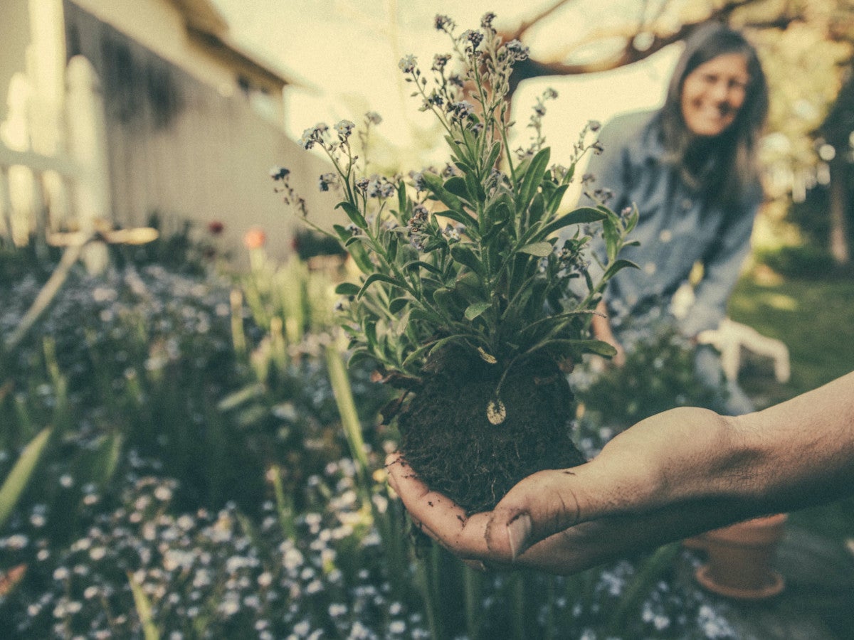 #Smarte Bewässerung: Das ist das Geheimnis blühender Gärten