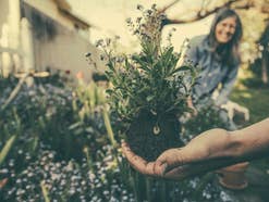 Person hält Blume in den Händen, im Hintergrund lacht eine Person.