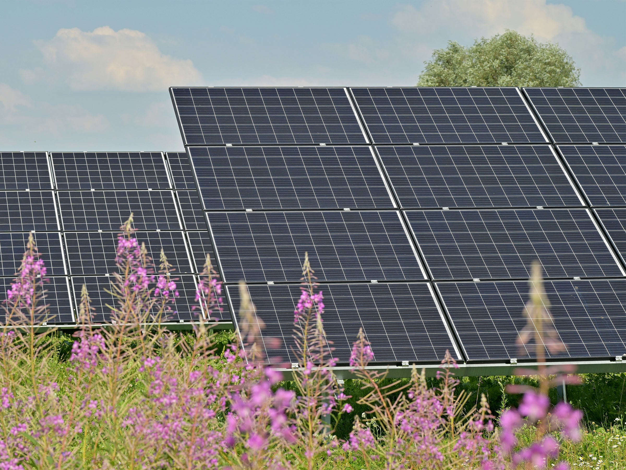 #Solarindustrie in Deutschland stirbt aus: Gibt es bald keine deutschen PV-Module mehr?