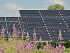 Solarindustrie in Deutschland stirbt aus - gibt es bald keine deutschen PV-Module mehr?