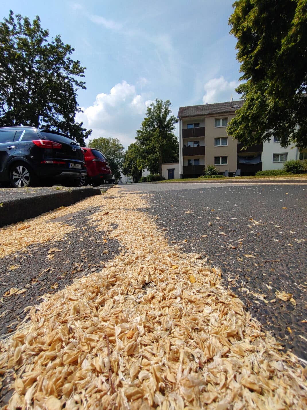 Die Ultraweitwinkelkamera liefert an den Kanten und in Ecken unscharfe Ergebnisse.