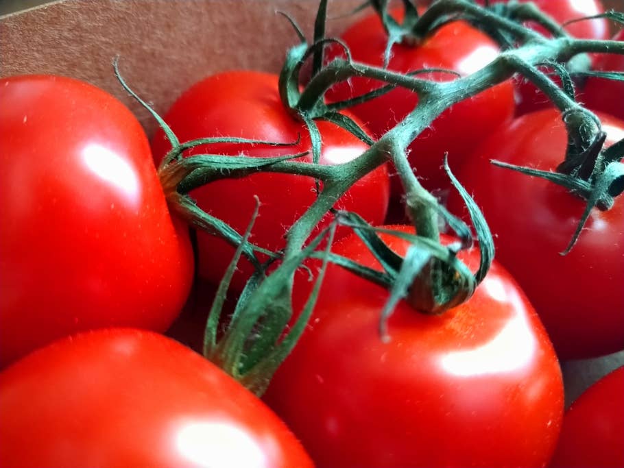 Nahaufnahme der Tomaten